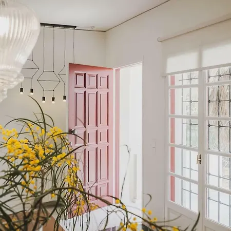 Mid-century Modern Garden Villa