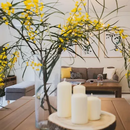 Mid-century Modern Garden Villa *