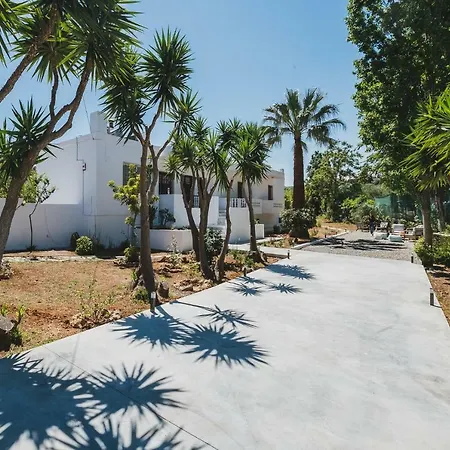 Mid-century Modern Garden *