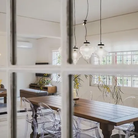 Mid-century Modern Garden