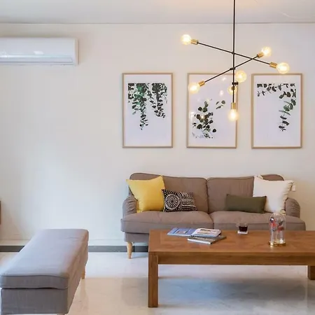 Mid-century Modern Garden *