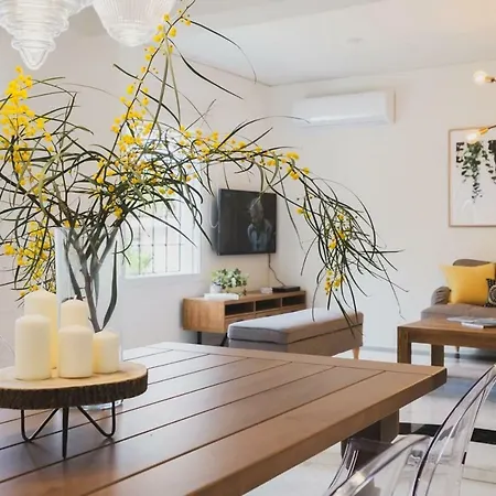 Mid-century Modern Garden Hanya