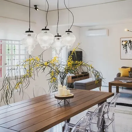 Mid-century Modern Garden