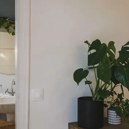 Mid-century Modern Garden Villa