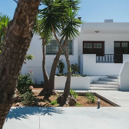 Villa Mid-century Modern Garden *