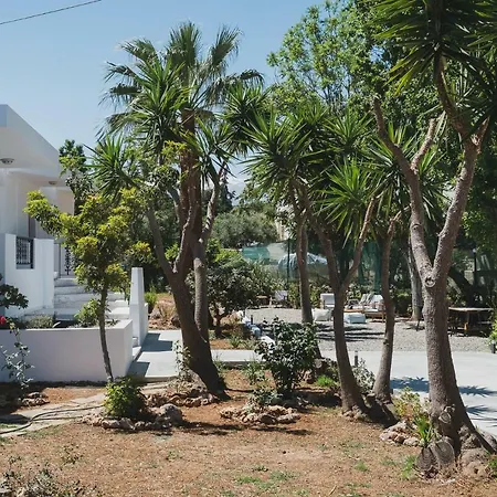 Mid-century Modern Garden * Hanya