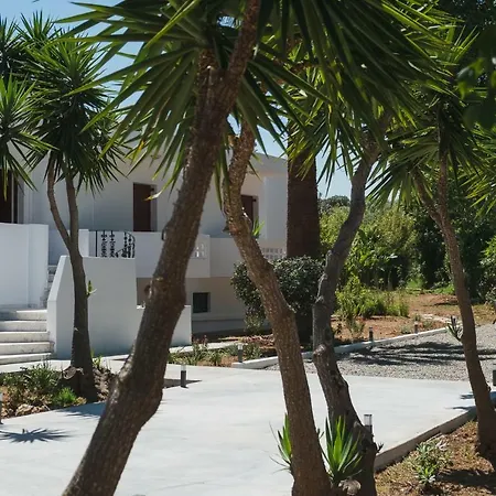 Mid-century Modern Garden Villa